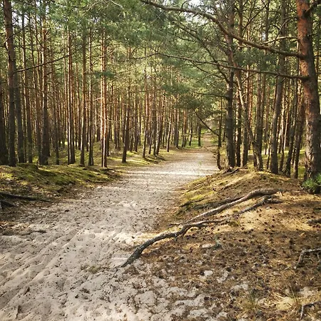 Апартаменты Boso Po Plazy M&k Sobieszewo - Гданьск