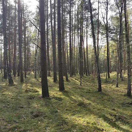 Boso Po Plazy M&k Sobieszewo - * גדנסק