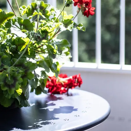 Boso Po Plazy M&k Sobieszewo - דירה *