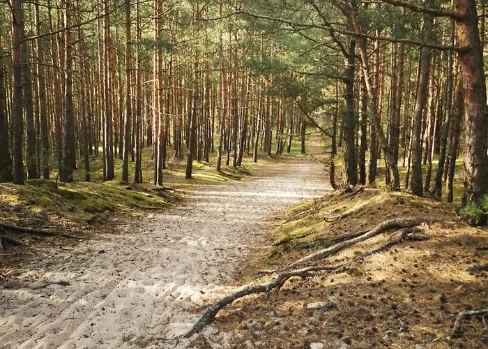 Appartement Boso Po Plazy M&k Sobieszewo - Gdańsk
