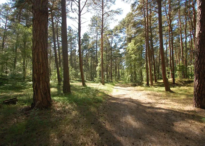 Boso Po Plazy M&k Sobieszewo - Apartment Danzig