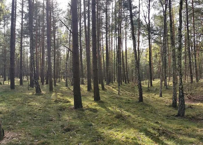 Boso Po Plazy M&k Sobieszewo - * Gdańsk
