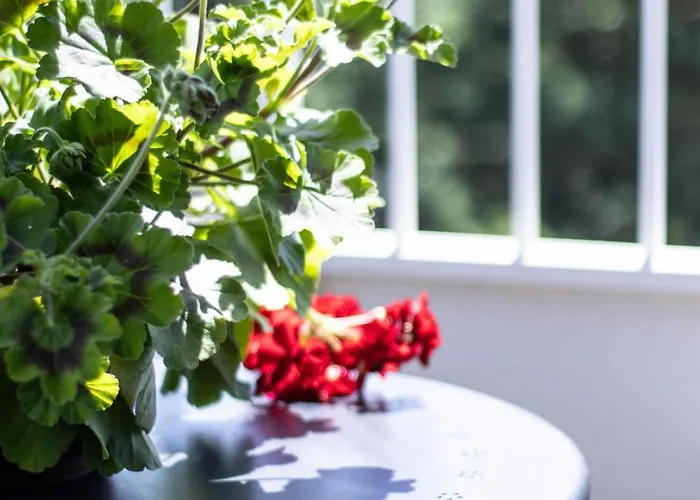 Boso Po Plazy M&k Sobieszewo - Apartment *